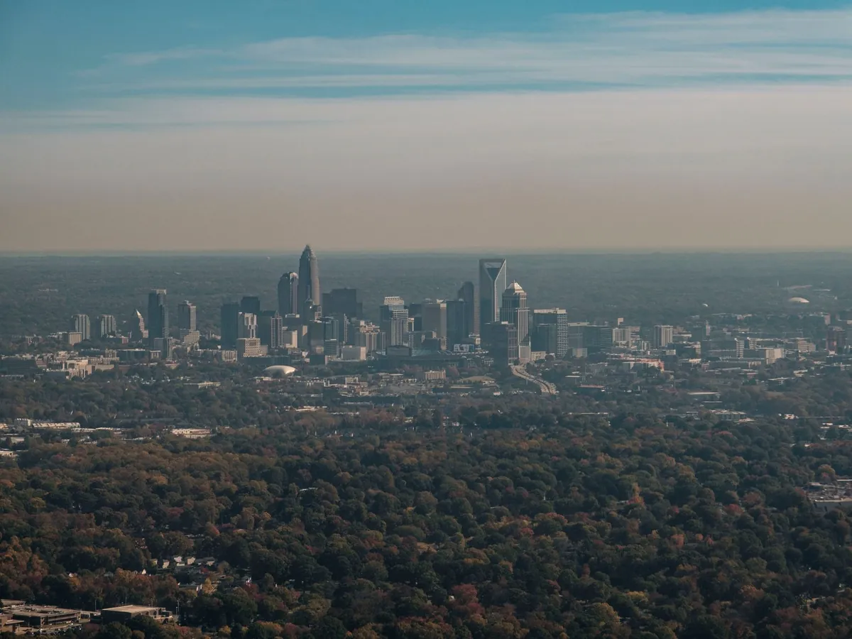 Entrepreneur reviewing North Carolina LLC formation documents