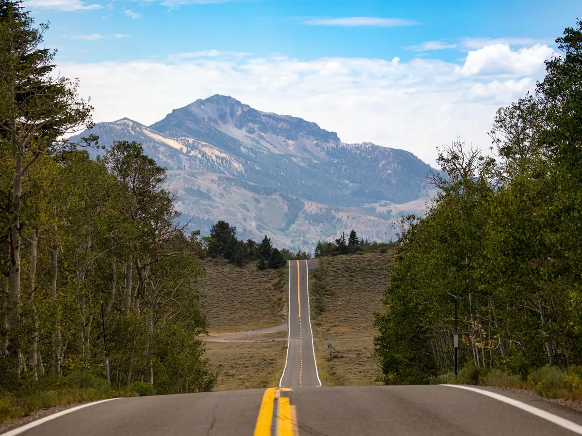 Entrepreneur reviewing Wyoming LLC formation documents