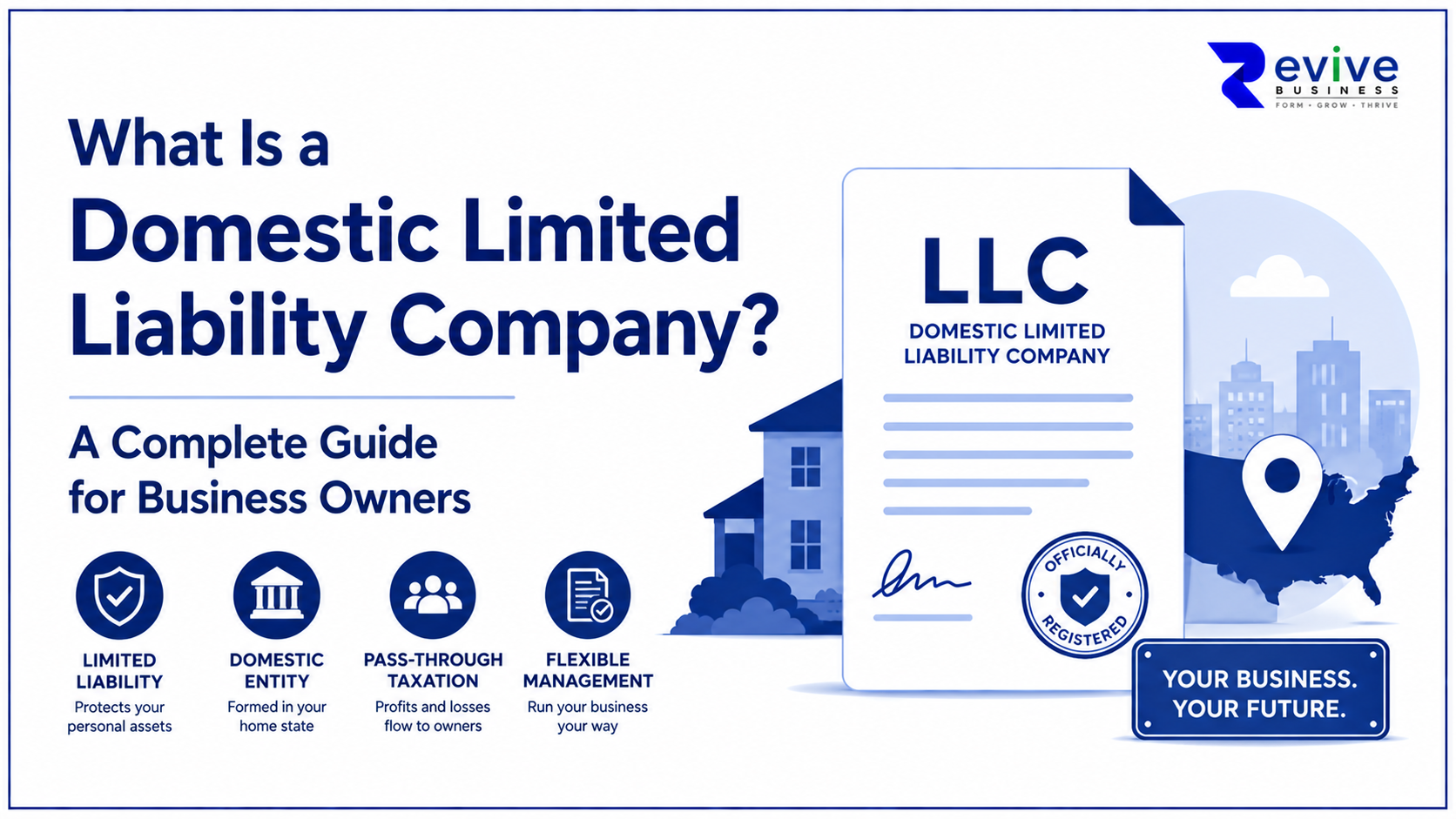 What Is a Domestic Limited Liability Company? A Complete Guide for Business Owners