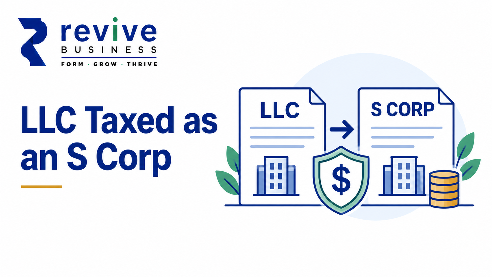 LLC Taxed as an S Corp